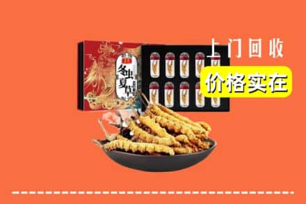 那曲市回收冬虫夏草